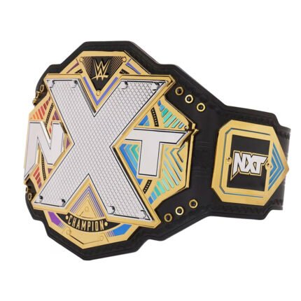 WWE NXT Title Heavy Weight Champion World Wrestling Championship Belt