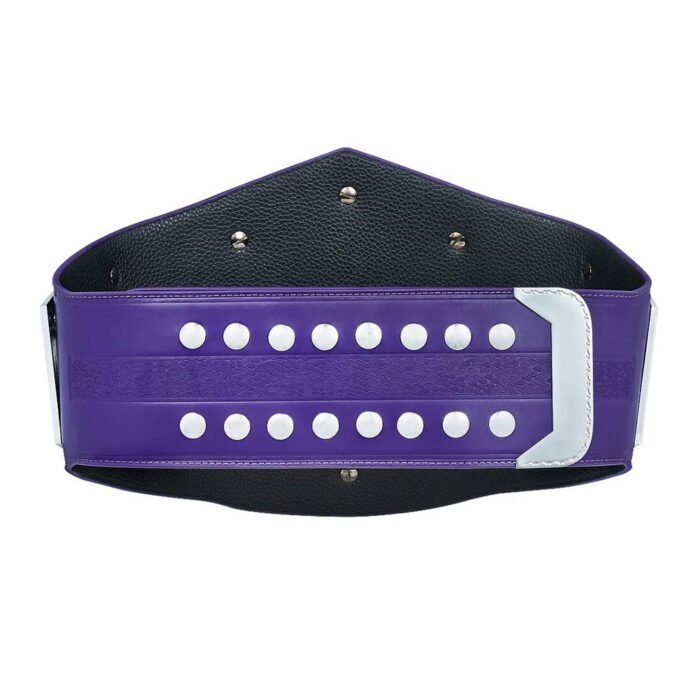WWE World Heavy Weight Champion Cruiserweight Championship WWE Belt - Image 3