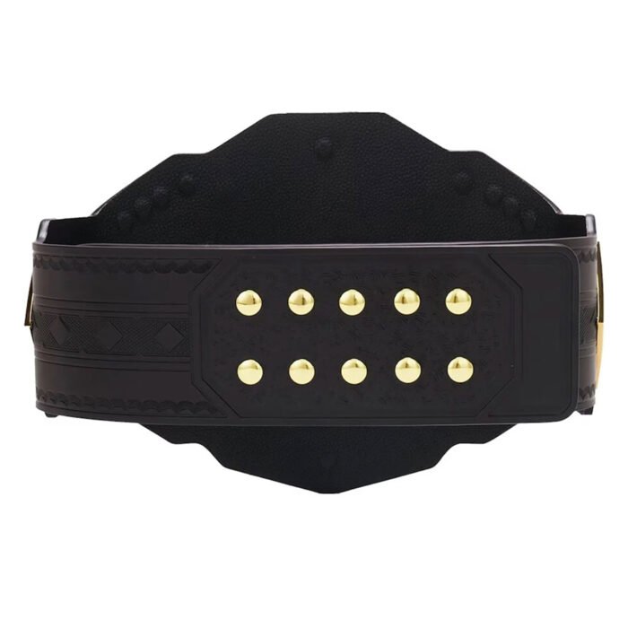 WWE NXT Title Heavy Weight Champion World Wrestling Championship Belt - Image 5